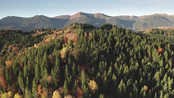 Autumn Forest at Mountain Ridge Aerial