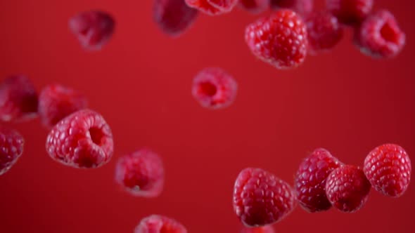 Fresh Delicious Raspberries are Bouncing and Rotating on the Red Background