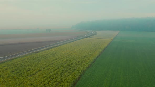 Descending aerial shot of misty farmland on an autumn morning