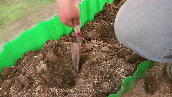 A Man with a Spatula Makes Holes in a Garden Bed in a Greenhouse Closeup