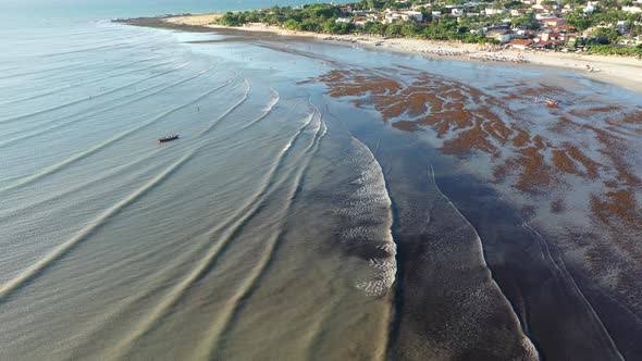 Jericoacoara Brazil. Tropical scenery for vacation travel at northeast Brazil.