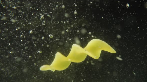 Fusilli Pasta Falling into Water