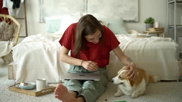 Young Beautiful Young Woman Uses Laptop Then Strokes Her Lovely Pet in Carpet Apartment Room Avki