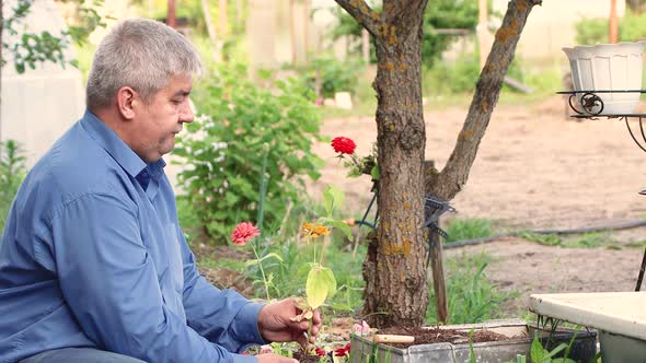 A Man Plants a Yellow Flower Seedling in a Flower Bed