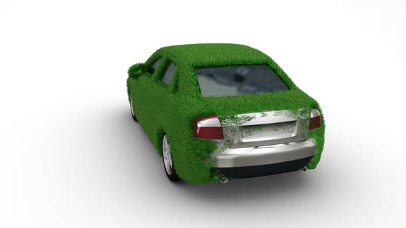 Car Grass Grow