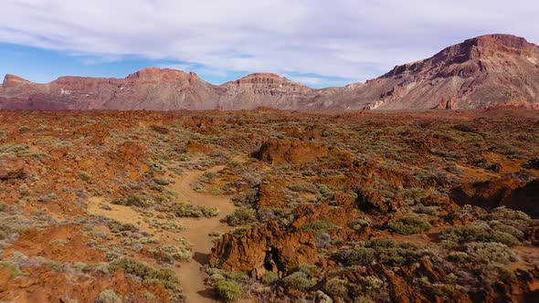 Aerial View of Solidified Lava and Sparse Vegetation in the Teide National Park