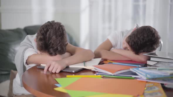 Two Caucasian Brunette Schoolboys Sleeping on the Table