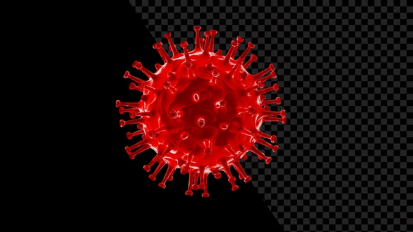 Coronavirus Visualization Covid 19 V21