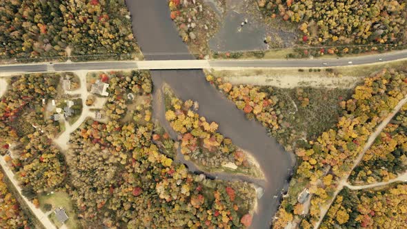 Autumn leaves. beautiful colors - pullout, birds eye view, topview - 4k - Drone - sequence 005/005