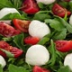 salad with mini mozzarella, tomatoes cherry and arugula - VideoHive Item for Sale