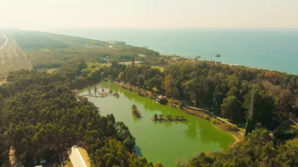 Aerial View Of Shekvetili Dendrological Park In Georgia