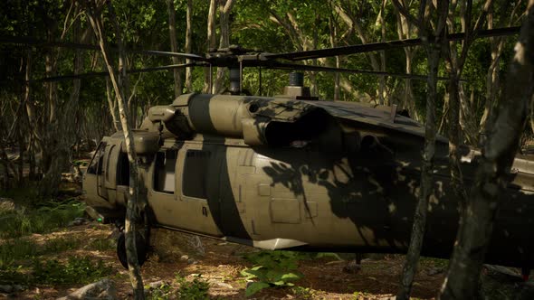 Military Helicopter in Deep Jungle