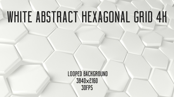 White Abstract  Hexagonal Grid