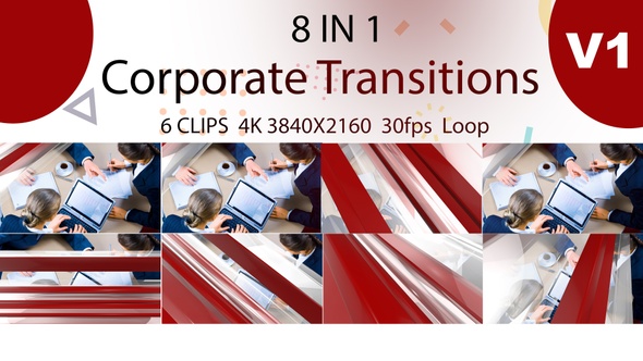 Corporate Transitions V1