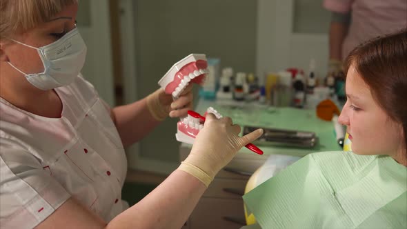 Young Female Dentist Show Her Teenage Patient Girl How to Clean Teeth