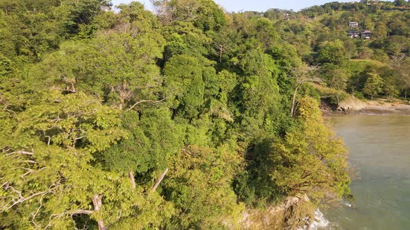 The lush, tropical coastline of central America on a sunny evening. Aerial view closely passing by t