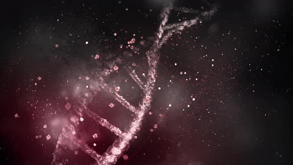 Disease Destroys The DNA Strand 4K