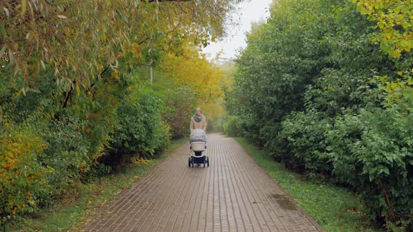 Mum Walking with Baby Walking in Autumn Park