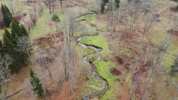 A Winding River a Stream in the Autumn Park Forest