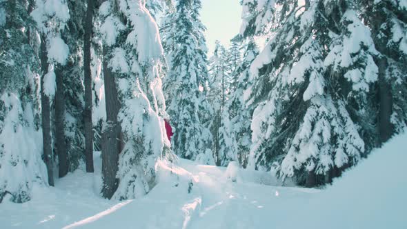 Male Hiker With Red Jacket Snowshoeing Through Snowy Winter Forest Landscape