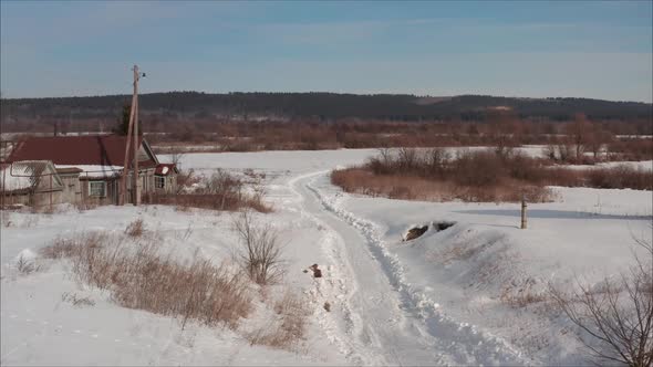 Winter road in the village