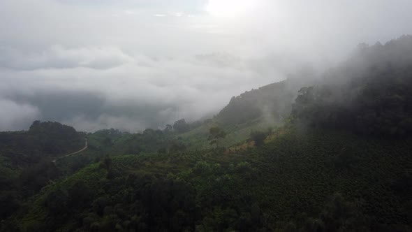 Aerial view highland foggy low cloud