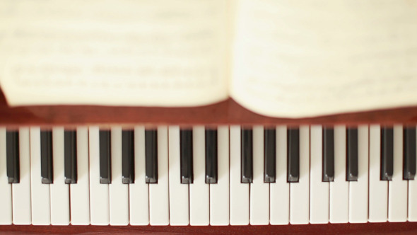 Movement on a Piano Keyboard alt