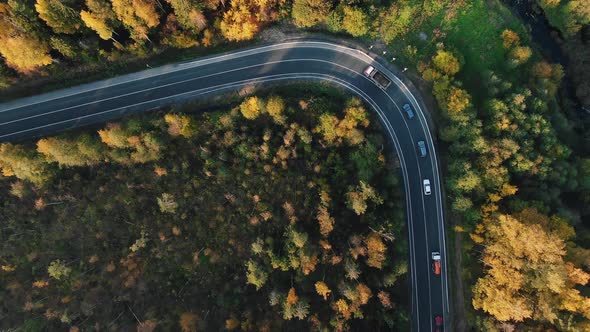 Aerial View of a Column of Cars Driving Along a Curved Road Through an Autumn Forest