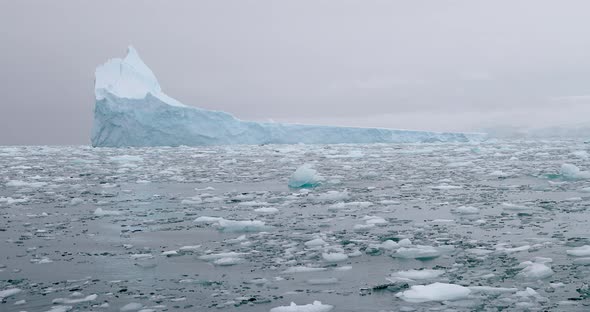 MS Iceberg and ice floes on water near Torgersen Island / Antarctic Peninsula, Antarctica