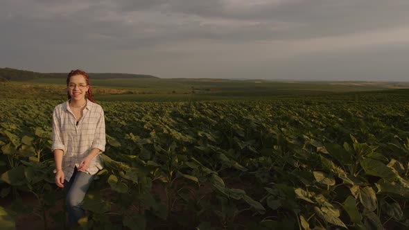 Girl Walks on Th Sunflower Fields and Raises Her Hands