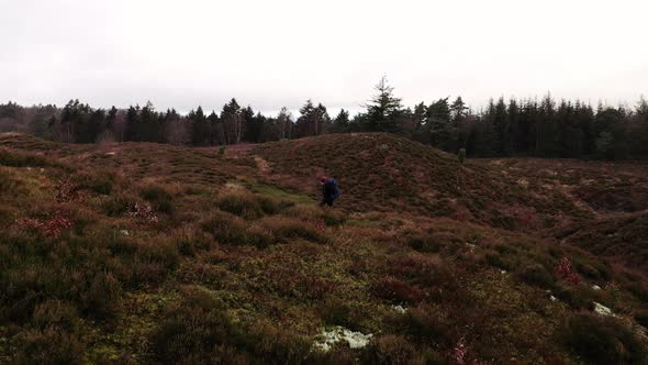 Aerial of a Tourist Hiking Along the Hills in Himmelbjerget Area Denmark