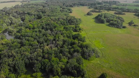 An Aerial View. Beautiful Summer Landscape in the Middle Strip of Russia. Along the Narrow, Winding