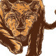 Wildlife Set No.1 - GraphicRiver Item for Sale