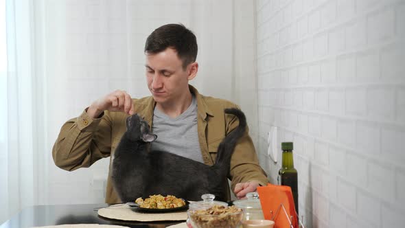 Man Feeds Domestic Cat with Food Having Breakfast in Kitchen