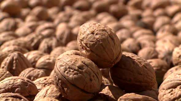 Picked walnuts