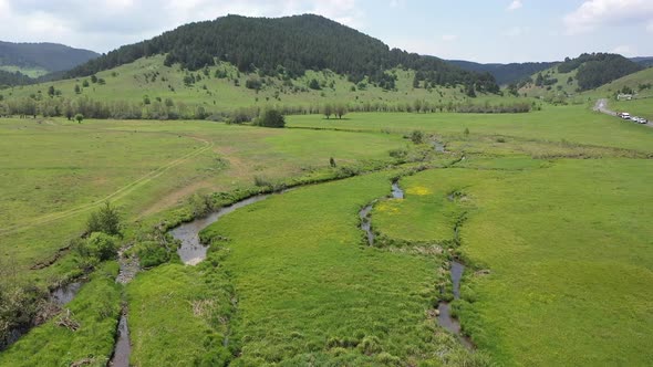 Meadow In Aerial View