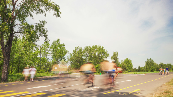 The Day Off in the Park alt