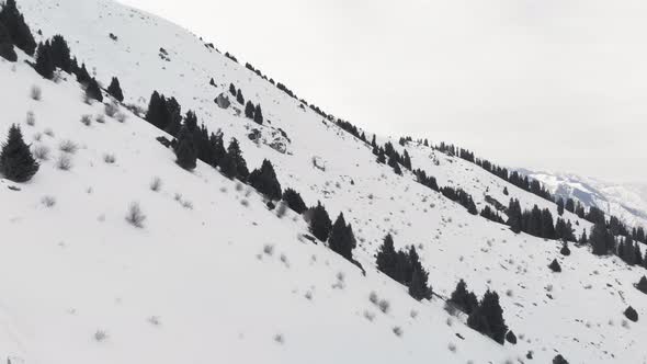 Aerial Landscape of Beautiful Winter Mountains