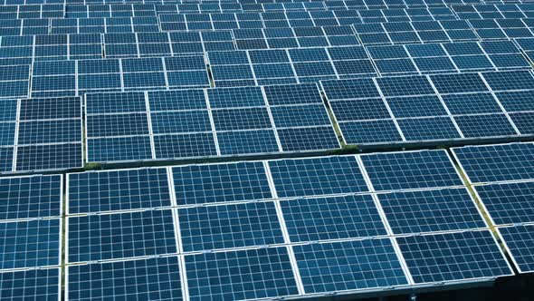 Aerial View of Solar Panels Farm Solar Cell with Sunlight