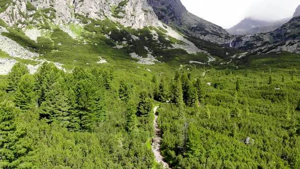 AERIAL: Revealing Mountain Road in the Green Forest in Slovakia High Tatras Region