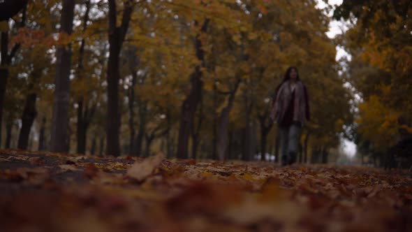 Attractive Woman Walking in Autumn Park Fallen Yellow Leafs on Road