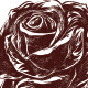 Roses Set Nr. 1 - GraphicRiver Item for Sale