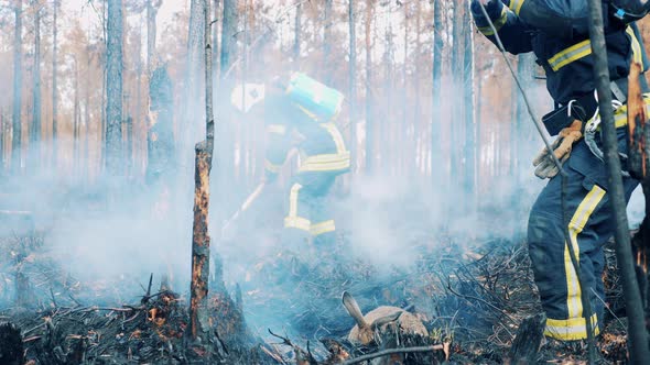 A Rabbit is Getting Saved in a Burntout Forest By a Firefighter