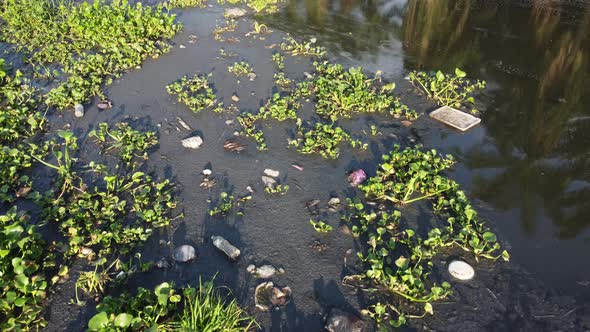 Rubbish pollution at river reflection