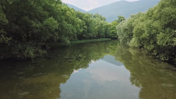 Aerial Footage River In Forest