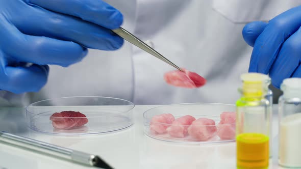 Medical Scientist Specialist Putting Meat in Dish with Tweezers Food Research in Modern Laboratory