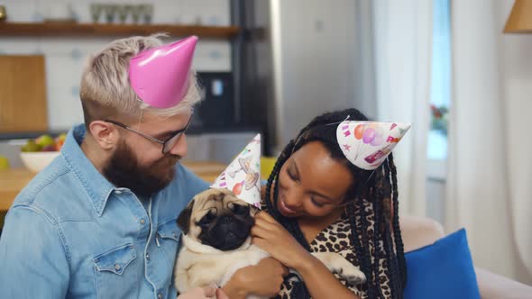 Cheerful Diverse Couple Wearing Party Caps Sitting with Pug Dog on Couch