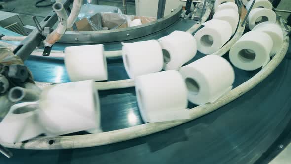 Top View of Toilet Paper Rolls Moving Along the Conveyor at a Factory