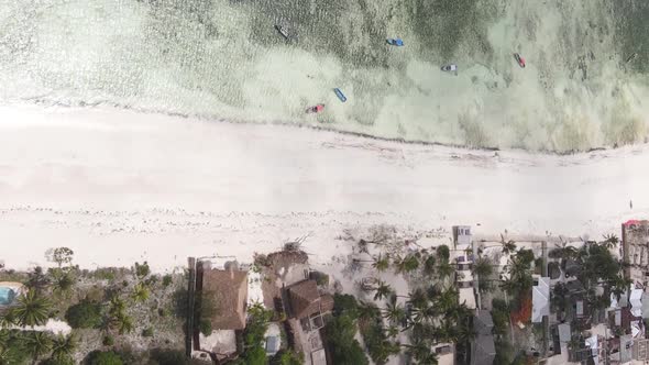 Vertical Video of the Beach on Zanzibar Island Tanzania Aerial View