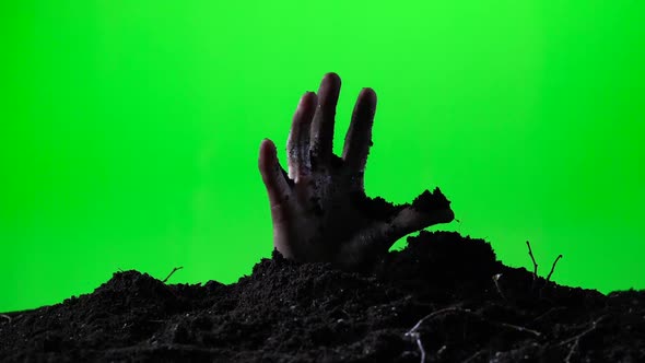 Zombie Hand Emerging From the Ground Grave. Halloween Concept. Green Screen. 017